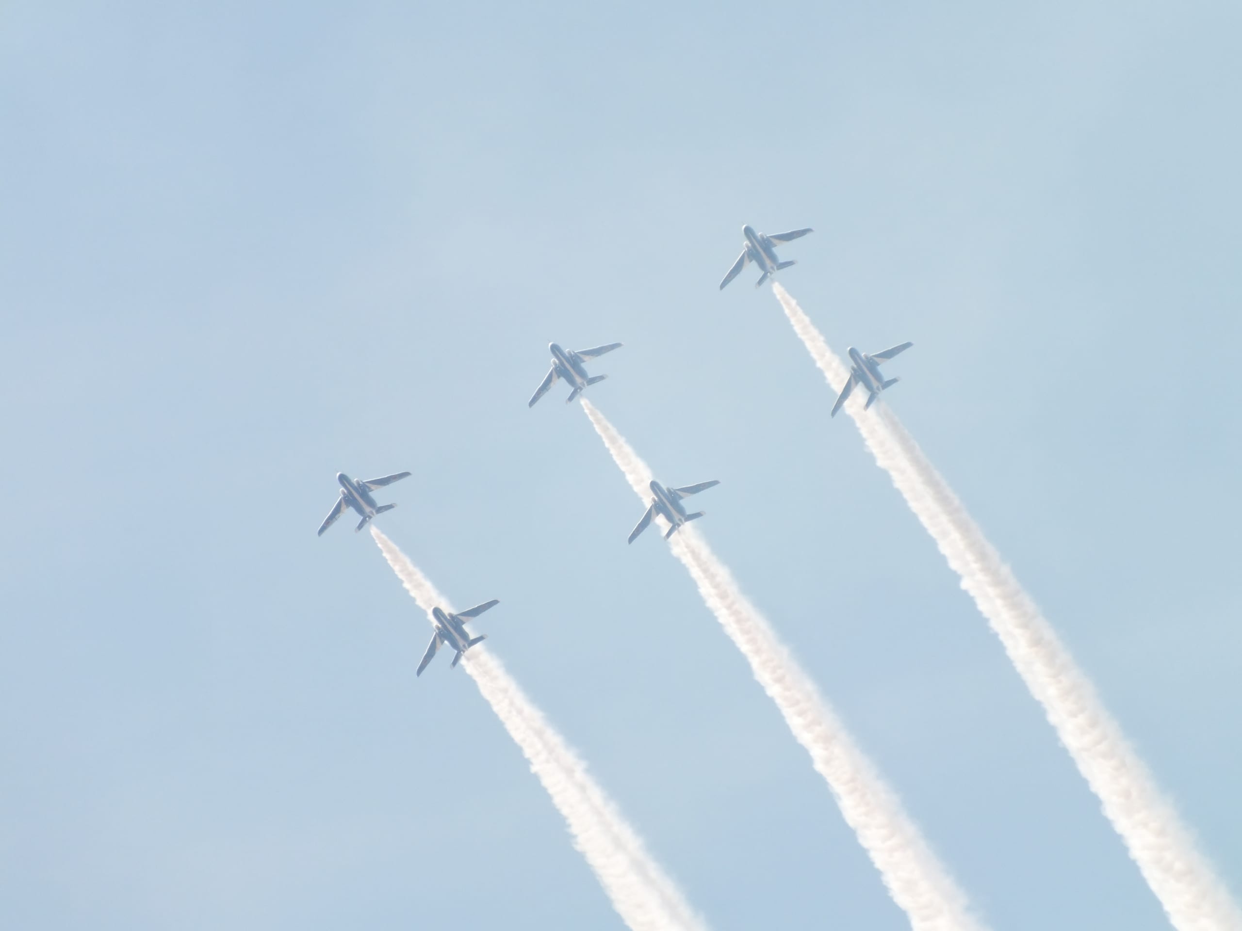 DSCF9455.JPG