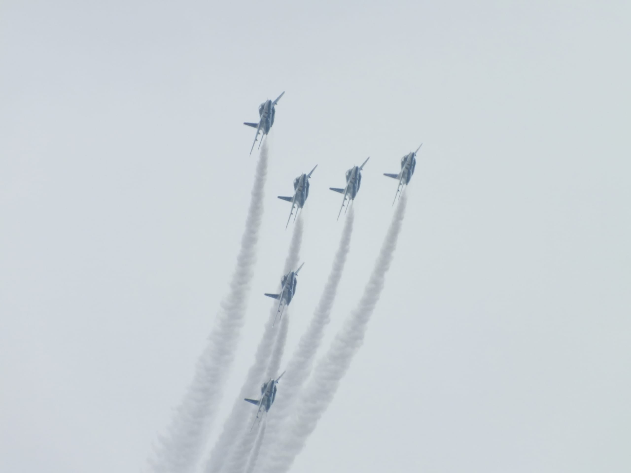 DSCF9790.JPG